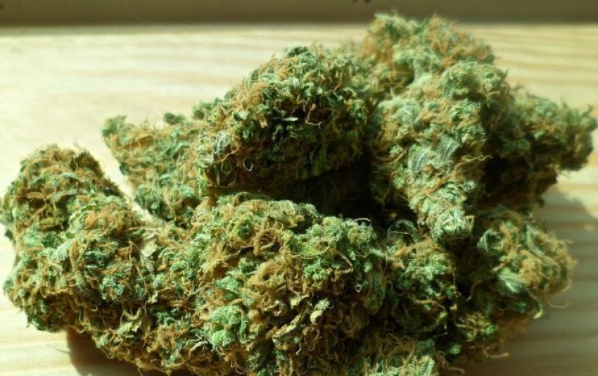 Под Воронежем дома у мужчины правохранители нашли 27 грамм конопли