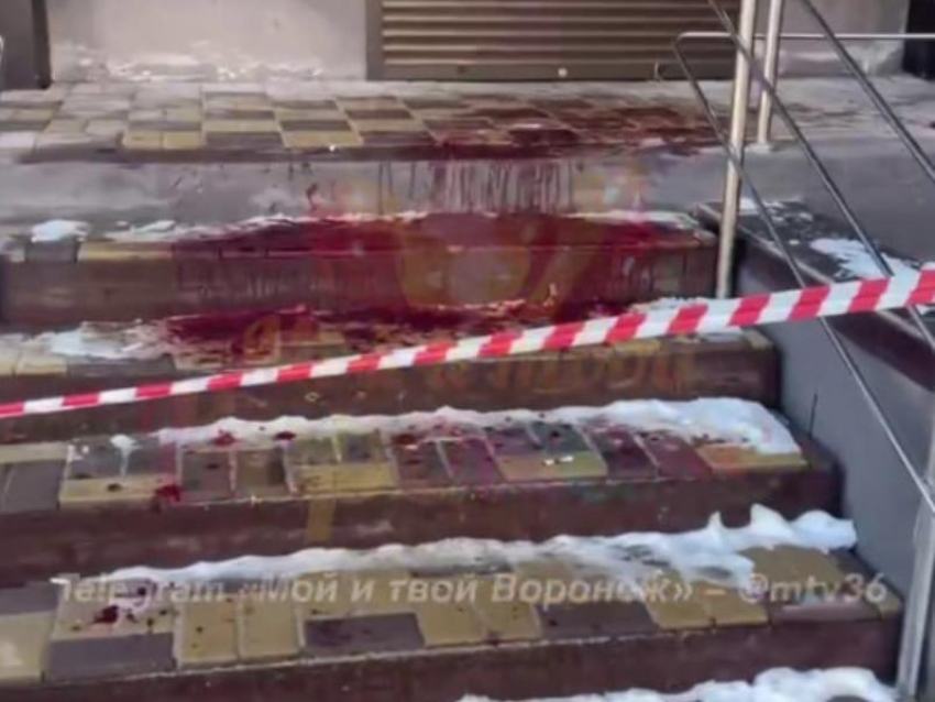Все в крови: жуткая картинка предстала перед жителями Воронежа