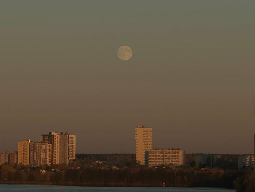 «Охотничья Луна» взошла над Воронежем