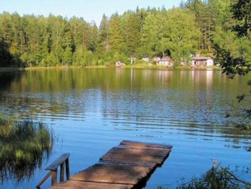 Чиновники незаконно отдали озеро под Воронежем в частные руки