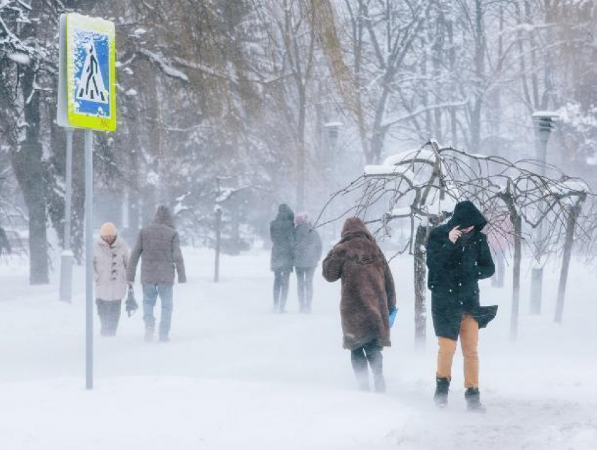 Арктическое вторжение ожидает воронежцев 