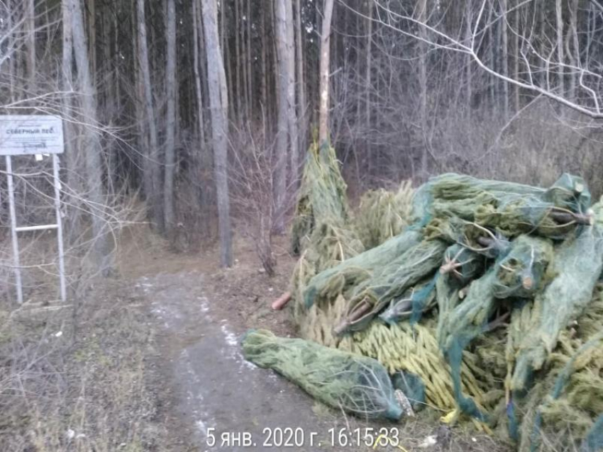 Кладбище праздничного настроения нашли в воронежском лесу 