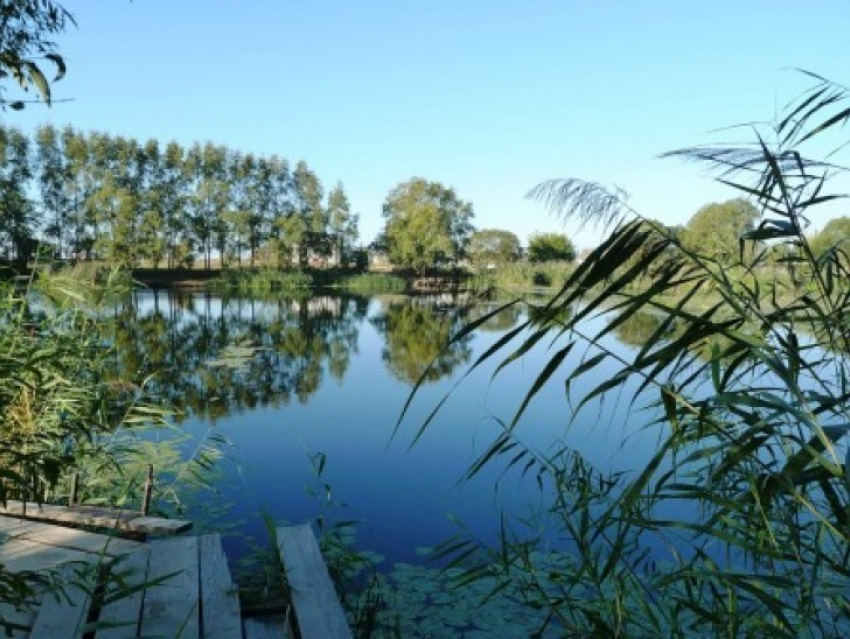 В реке под Воронежем погибли мужчина и маленький мальчик