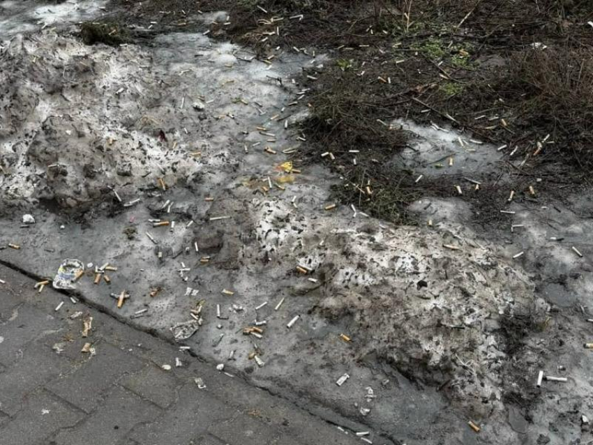 «Пора уже доносы делать»: воронежца прорвало на гнев после увиденного во дворе