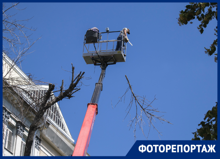 Ради чего перекрыли центр Воронежа и массово изменили маршруты автобусов 