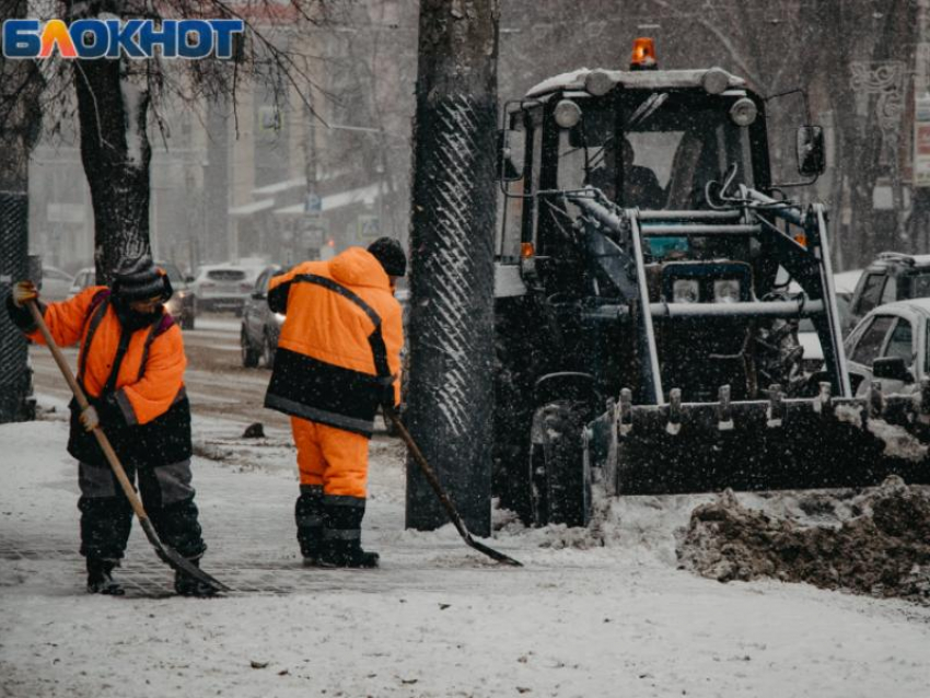 Раскрыты зарплаты руководителей комбинатов благоустройства районов Воронежа 