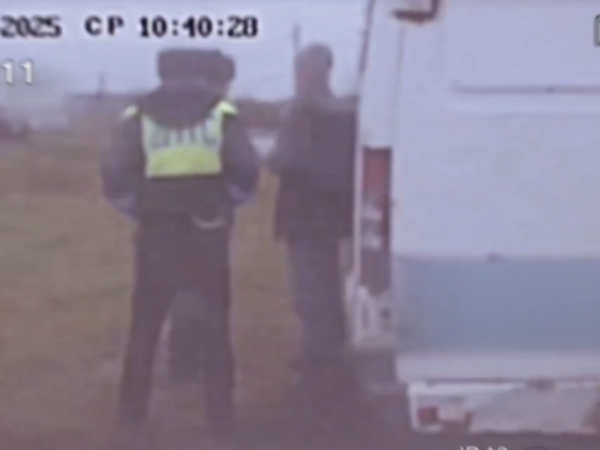 «Юпитер? А чё не Марс?»: очень пьяный водитель попался воронежским полицейским 