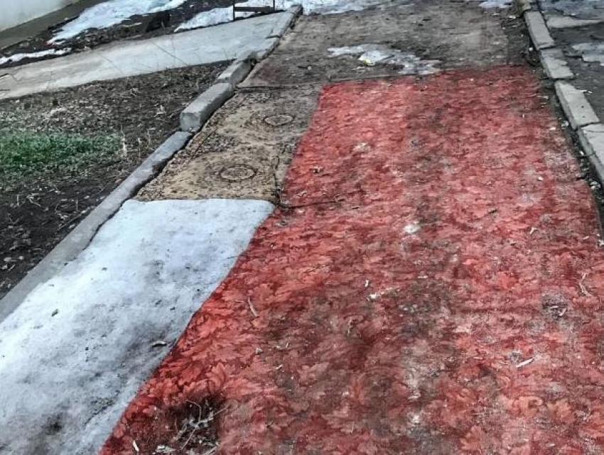 Коврами застелили разбитые дорожки под Воронежем
