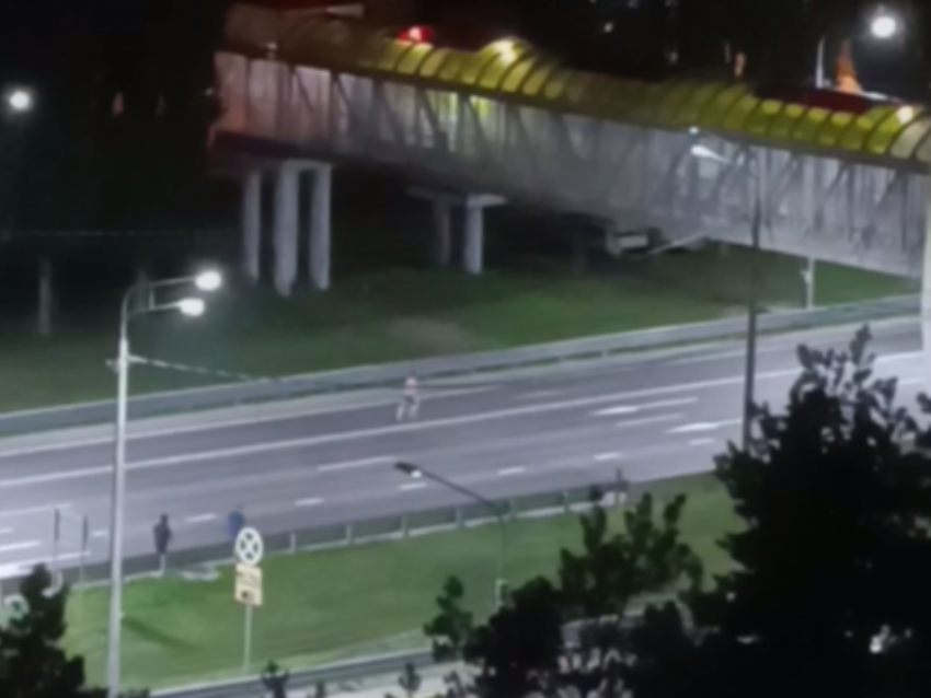 Пугающее поведение посреди проезжей части попало на видео в Воронеже