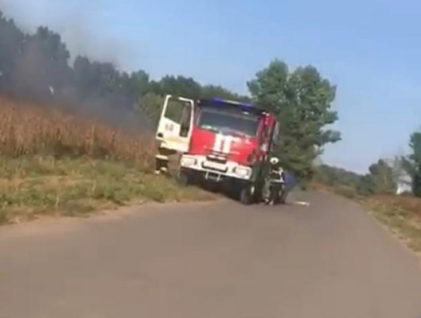 Горящий берег Дона попал на видео в Нововоронеже