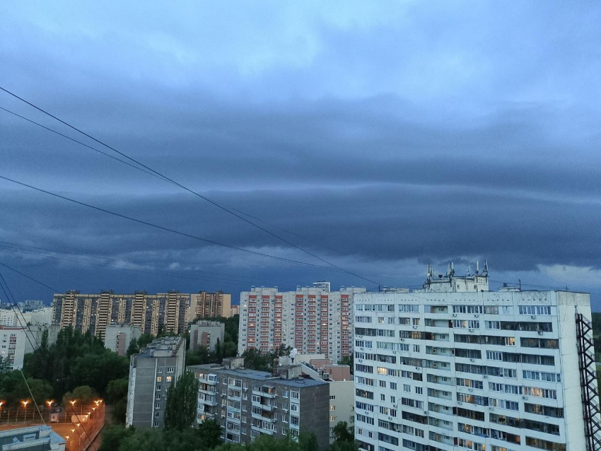 От жары до промокших трусов: прогноз погоды на выходные удивит воронежцев