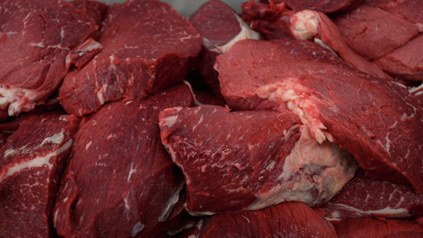 Под Воронежем уничтожили 16 килограммов опасной говядины из Белоруссии
