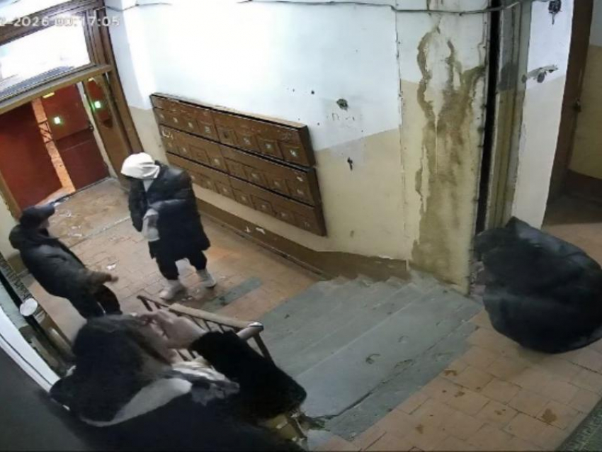 «Кладоискатели» устроили погром в подъезде воронежского дома 