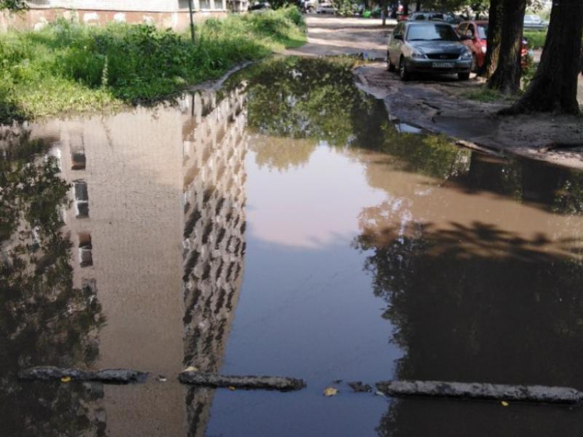 Ироничное применение хроническим лужам нашли воронежцы