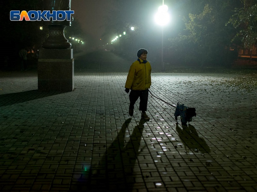 Штормовое предупреждение из-за заморозков объявили в Воронежской области