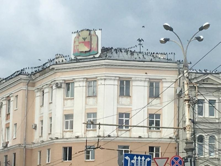  Воронеж подсветят синим к акции о проблеме аутизма 