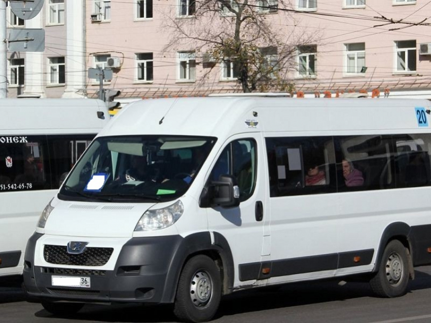 Как автобусы будут объезжать закрытый виадук у «Работницы» в Воронеже 