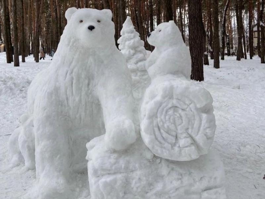  Снежные медведи появились в воронежском «Дельфине»