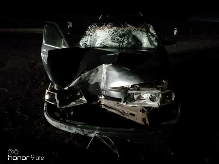 Сбивший воронежскую семью из пяти человек водитель был пьян