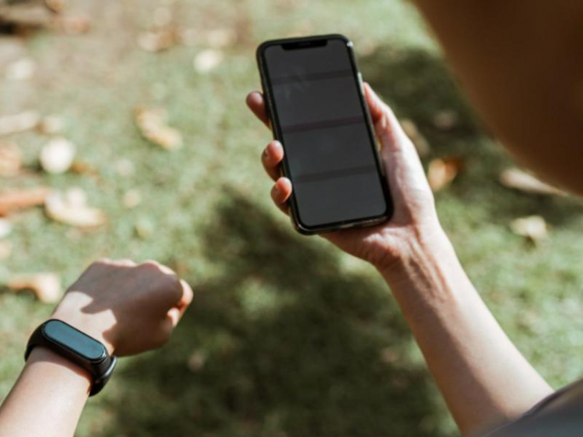 Жить здорово: воронежцы пересаживаются на самокаты и питаются более полезной пищей 