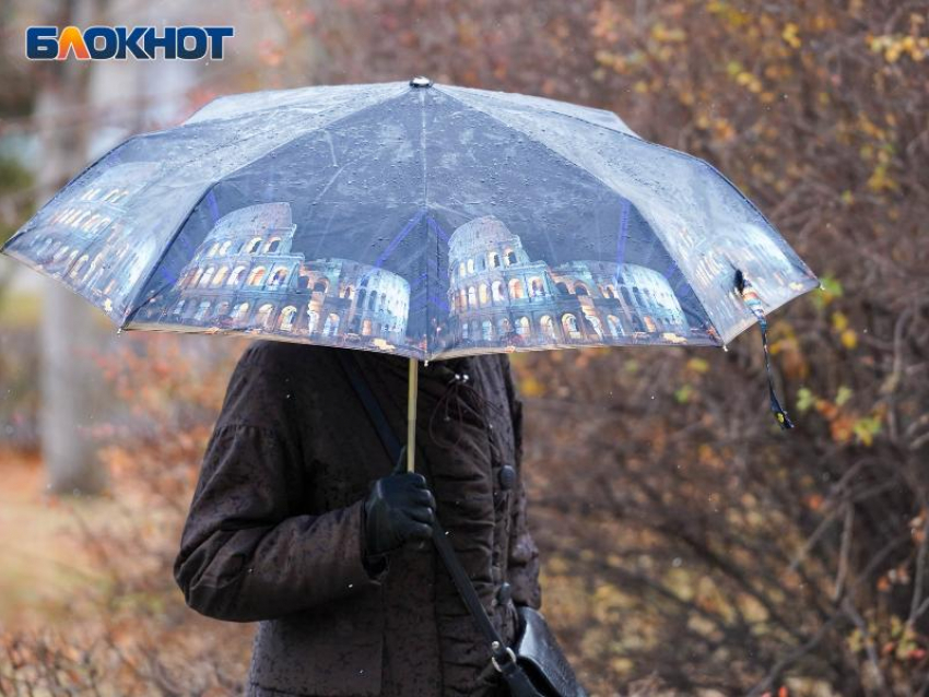 Снег и дождь нагрянет в Воронеж в середине рабочей недели