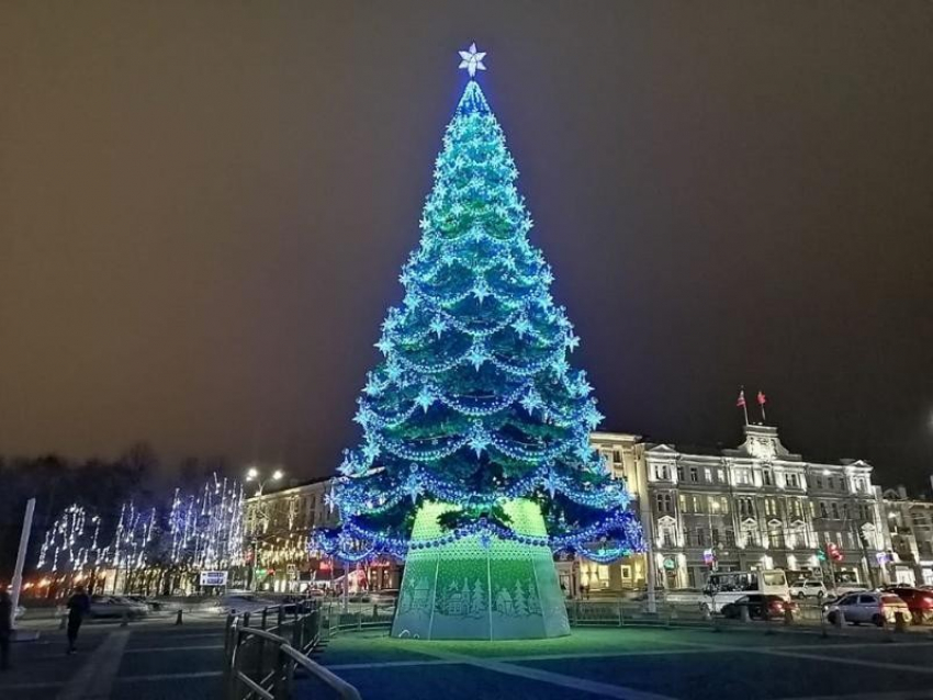 Новогоднюю елку Воронежа признали одной из самых высоких в России 