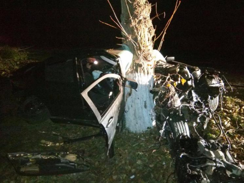В Сети появились жуткие кадры столкновения 19-летнего водителя BMW и дерева в Воронежской области