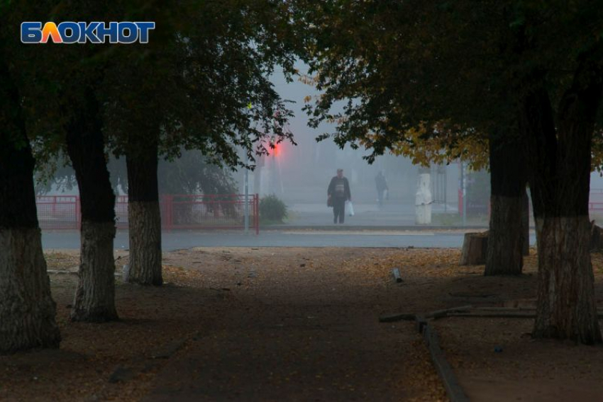 Туман и гололедица: «желтая» погодная опасность объявлена в Воронежской области