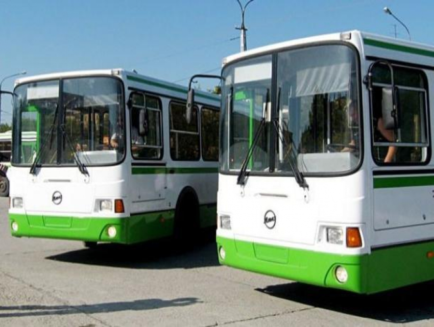 В день выборов губернатора в Воронеже будут курсировать 90 дополнительных автобусов