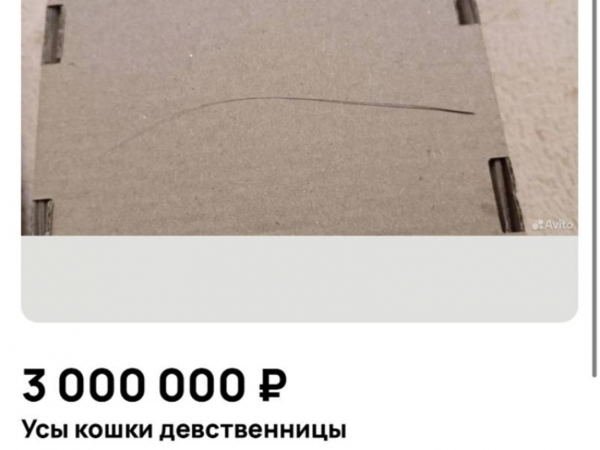 Крайне странный товар продают за 3 млн рублей под Воронежем