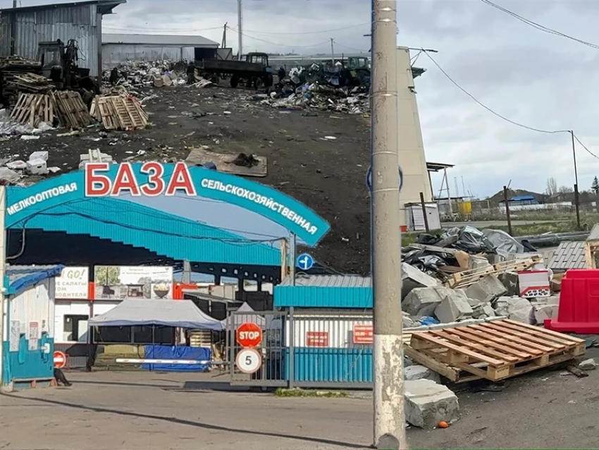 Алексеевский рынок «увяз» в мусоре, нечистотах и нарушениях: почему мэрия и Роспотребнадзор его не закрывают?