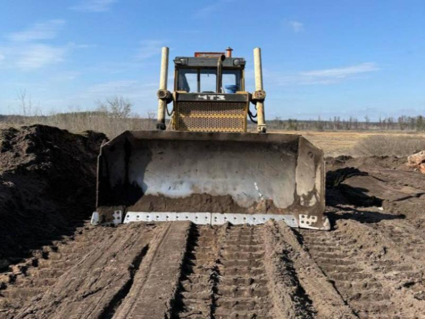 Заказник «Воронежский» изувечили бульдозером: Росприроднадзор посчитал ущерб 