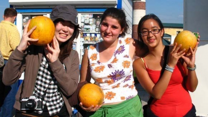 В Воронеже на специальной ярмарке расскажут о волонтерских проектах в зарубежных странах