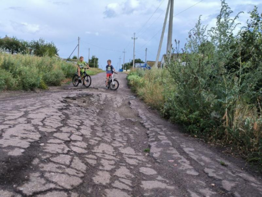 Больше двух десятков семей окажутся взаперти: воронежцы обратились за помощью к президенту РФ