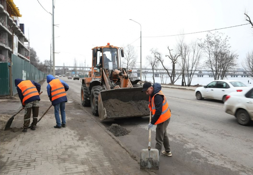 Более чем на 50 процентов могут увеличиться расходы по уходу за зелеными насаждениями на Петровской набережной Воронежа 