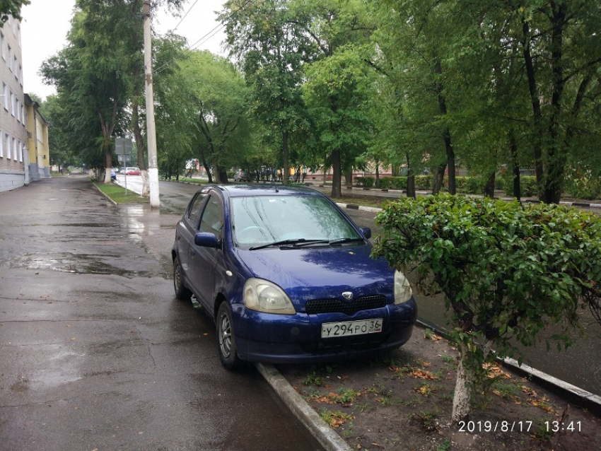 Клумбу превратили в бесплатную парковку в Воронеже