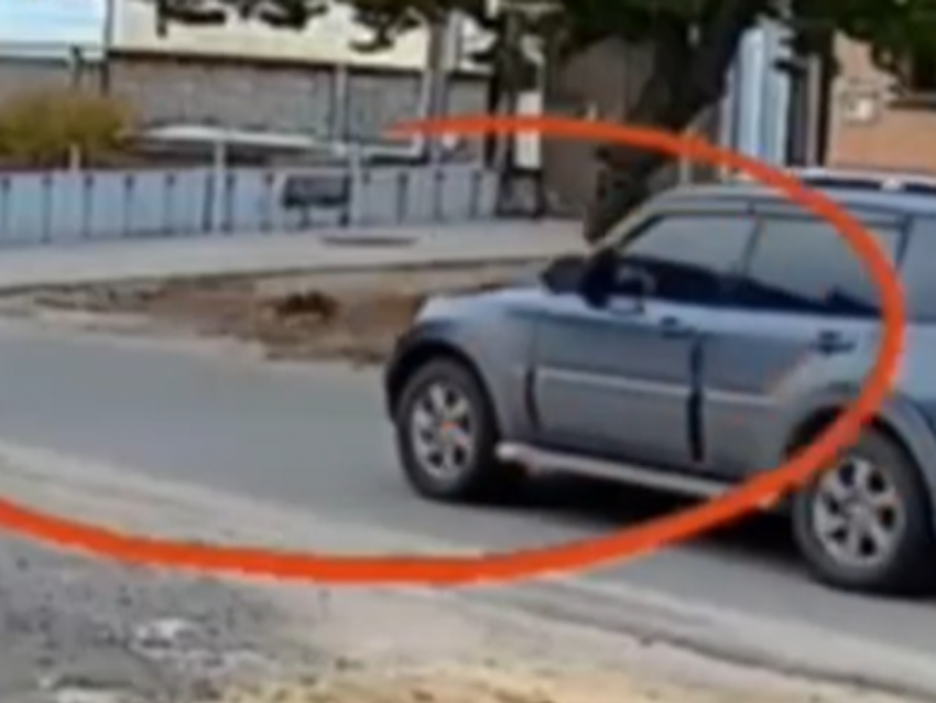 Сбил котенка и уехал: бесчеловечный поступок водителя попал на видео в Воронежской области 