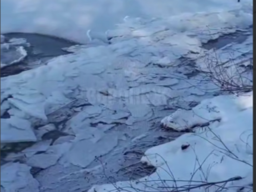 Чарующее природное явление сняли на видео в Воронеже