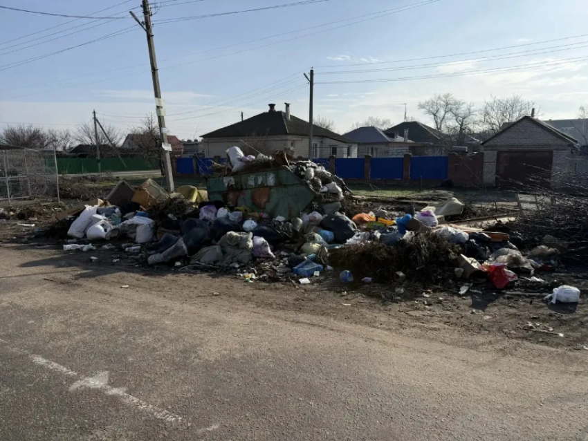 За горы мусора в будущем центре туризма прокуратура «нагнула» регоператора в Воронежской области