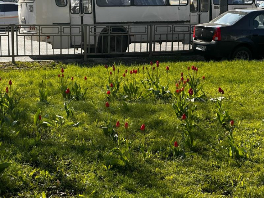 Погода в Воронеже взяла ситуацию с теплом в свои руки после отключения отопления 