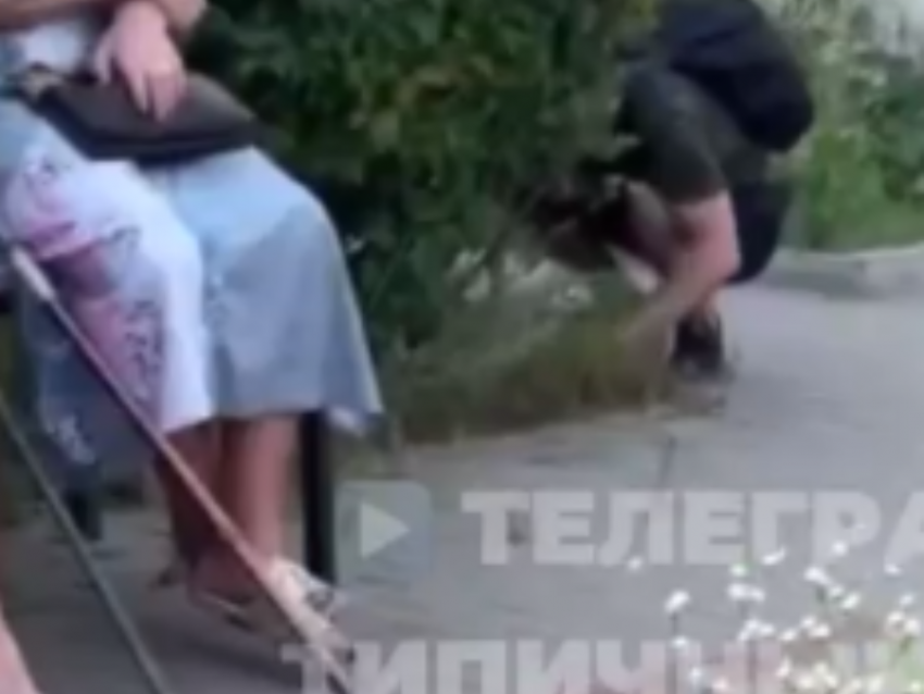 "Я закладку не клала", – странный диалог пенсионерок и воронежца попал на видео