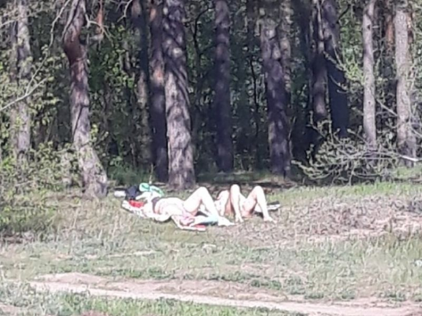 В парке «Оптимист» в Воронеже преподали мастер-класс чилл-аута на майские праздники