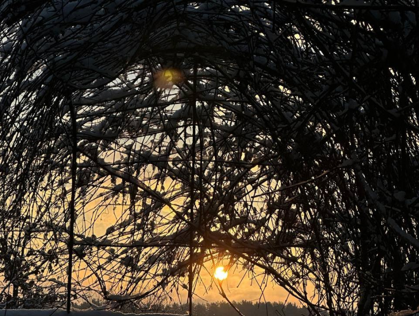 От слякоти к морозу: как воронежская погода сделает резкий поворот