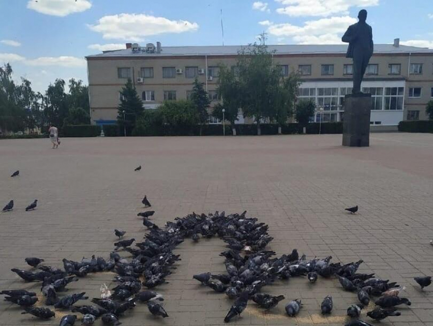 Голубей воронеже. Острогожск площадь Ленина. Голуби на площади Ленина. Голуби Воронежа. Голуби на памятнике Ленину.