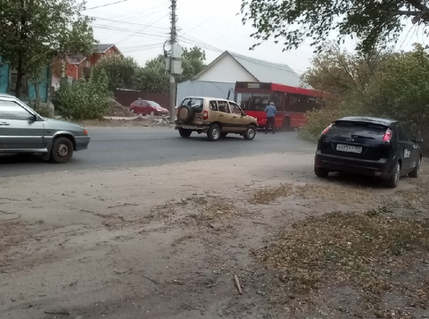 Рухнувшее на дорогу дерево спровоцировало пробку в Воронеже