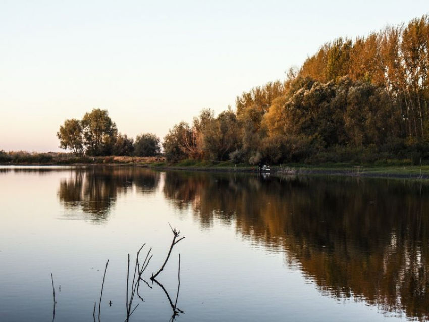 Под Воронежем чиновники отдали берега Усманки в частное владение