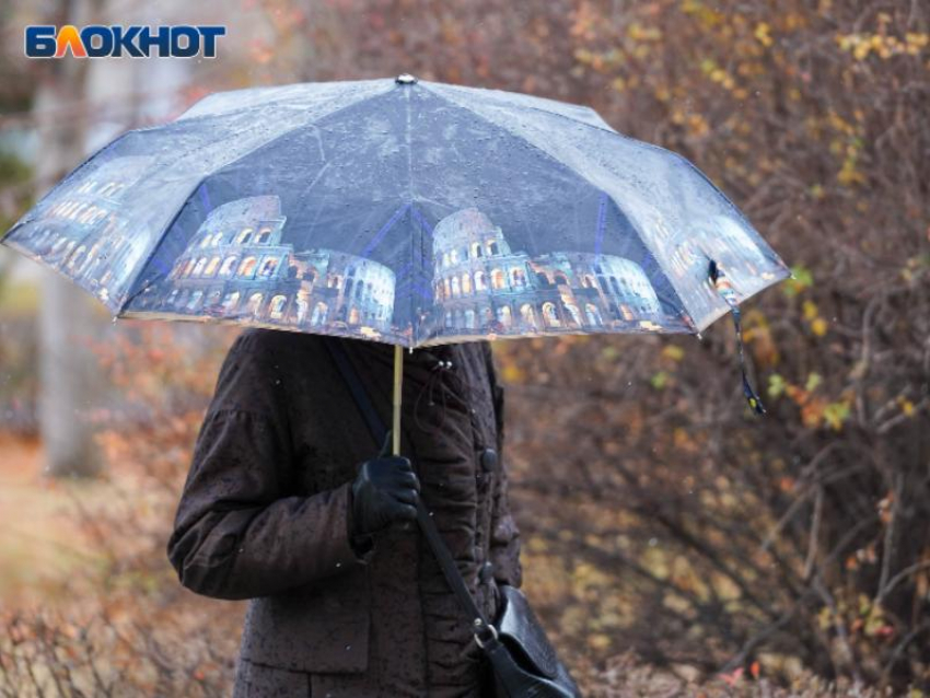 Желтый уровень опасности ввели в Воронежской области из-за дождя и грозы
