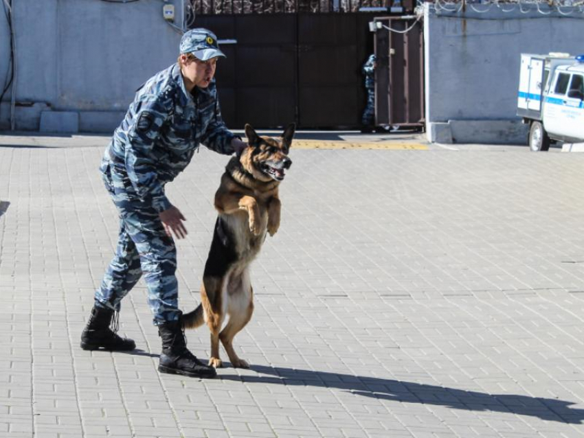 В соседней Курской области вводят желтый уровень террористической опасности в связи с обстановкой вокруг Украины 