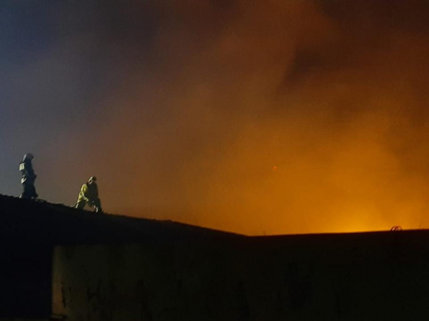 Два из трех крупных пожаров локализовали в Воронежской области