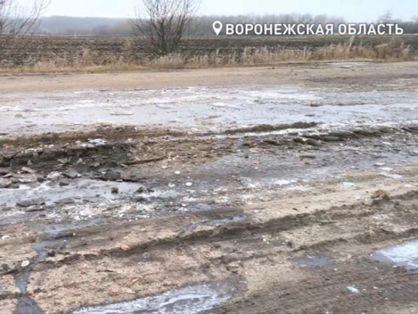 Разбитой дорогой в Воронежской области заинтересовался Бастрыкин и поручил завести дело